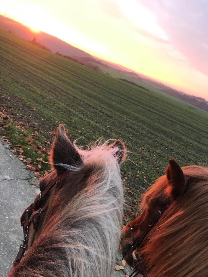 Landhof Lieg - Tierische Auszeit In Unseren Gemuetlichen Ferienwohnungen Bagian luar foto