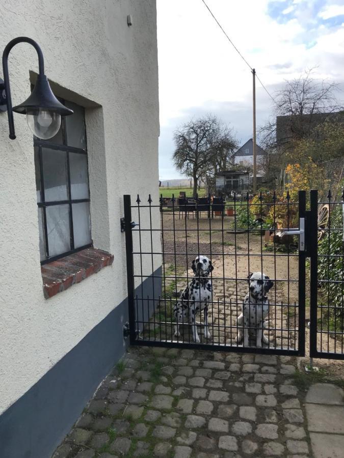 Landhof Lieg - Tierische Auszeit In Unseren Gemuetlichen Ferienwohnungen Bagian luar foto